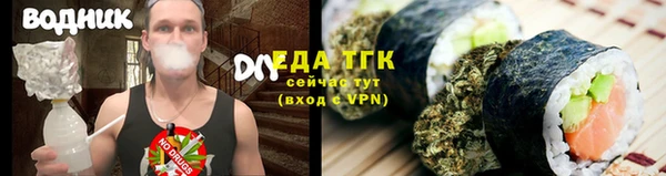 стаф Вязьма