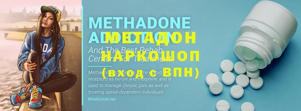 стаф Вязьма