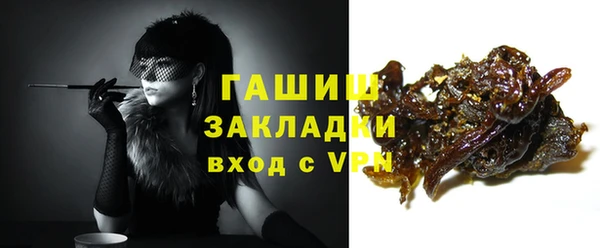 стаф Вязьма
