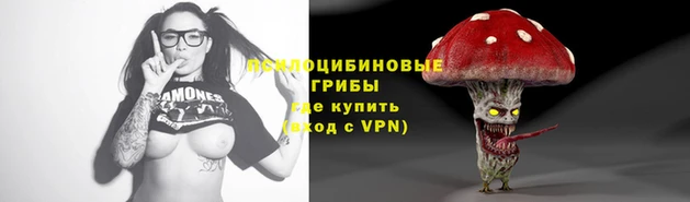 стаф Вязьма