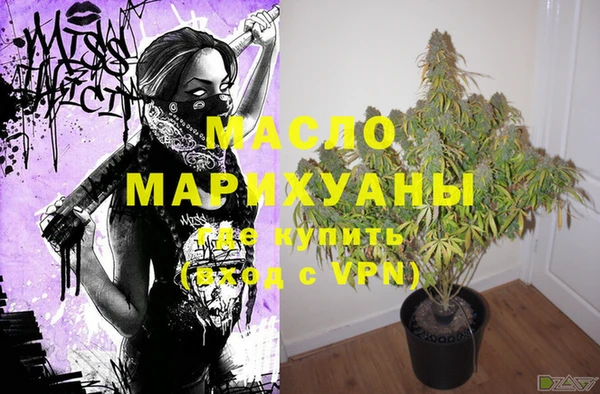 стаф Вязьма