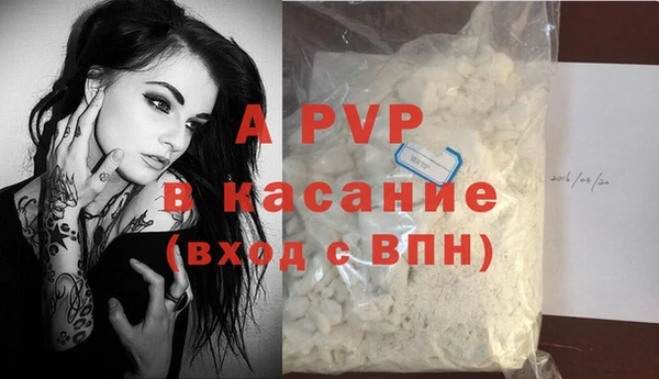 стаф Вязьма