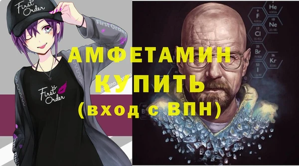 стаф Вязьма