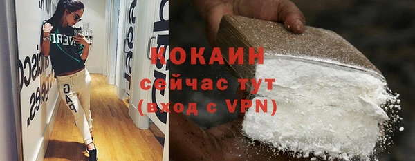 стаф Вязьма