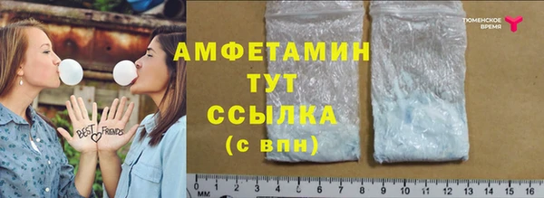 стаф Вязьма