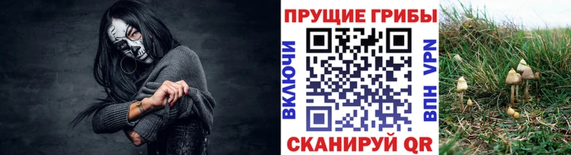 mega сайт  магазин продажи наркотиков  Ялта  Псилоцибиновые грибы Psilocybine cubensis 